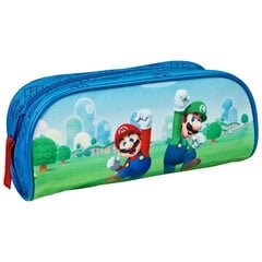 Super Mario Bros pinal hind ja info | Pinalid | kaup24.ee