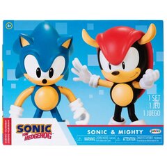 Sonic The Hedgehog Sonic & Mighty Sonic komplekt numbrid 10cm цена и информация | Игрушки для мальчиков | kaup24.ee