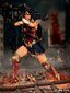 Zack Snyder 1/10 Wonder Woman цена и информация | Fännitooted mänguritele | kaup24.ee