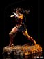 Zack Snyder 1/10 Wonder Woman цена и информация | Fännitooted mänguritele | kaup24.ee