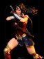 Zack Snyder 1/10 Wonder Woman цена и информация | Fännitooted mänguritele | kaup24.ee