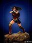 Zack Snyder 1/10 Wonder Woman цена и информация | Fännitooted mänguritele | kaup24.ee