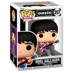 POP-kujund Oasis Noel Gallagher hind ja info | Poiste mänguasjad | kaup24.ee