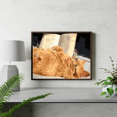 Maalimine numbrite järgi - maalimise komplekt 40x50 cm. "Cat with a book" цена и информация | Живопись по номерам | kaup24.ee