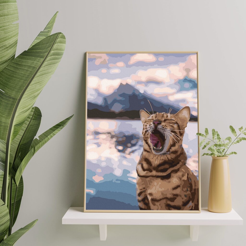 Maalimine numbrite järgi - maalimise komplekt 40x50 cm. "Cat on the Beach" цена и информация | Maalid numbri järgi | kaup24.ee