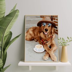 Maalimine numbrite järgi - maalimise komplekt 40x50 cm. "Dog with Glasses" hind ja info | Maalid numbri järgi | kaup24.ee