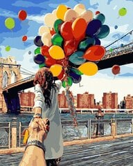 Картина по номерам 40x50 cm.  "Воздушные шары в ваших руках" цена и информация | Живопись по номерам | kaup24.ee