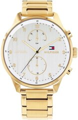 Meeste käekell Tommy Hilfiger 1791576 (Ø 44 mm) цена и информация | Мужские часы | kaup24.ee