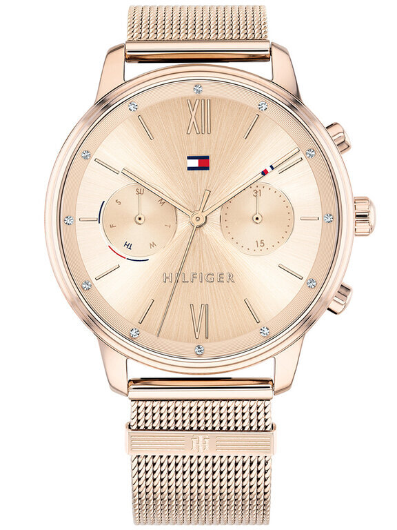 Naiste käekell Tommy Hilfiger Blake (Ø 38 mm) hind ja info | Naiste käekellad | kaup24.ee