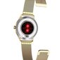 G. Rossi SW014 Gold цена и информация | Nutikellad (smartwatch) | kaup24.ee