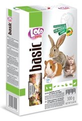 LoLo Pets Foody täiendsööt närilistele köögiviljadega 300g hind ja info | Toit väikeloomadele | kaup24.ee