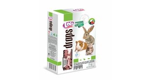 LoLo Pets Drops maiused närilistele metsamarjadega 75g цена и информация | Корм для грызунов | kaup24.ee