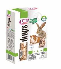 LoLo Pets Drops maiused närilisele jogurtiga 75g hind ja info | Toit väikeloomadele | kaup24.ee
