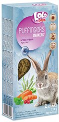 LoLo Pets Puffingers närimispulgad jänestele 2tk 110g цена и информация | Корм для грызунов | kaup24.ee