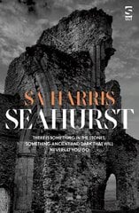 Seahurst цена и информация | Фантастика, фэнтези | kaup24.ee