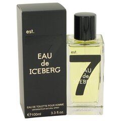 Iceberg Iceberg Eau de Iceberg Homme EDT 100ml цена и информация | Мужские духи | kaup24.ee