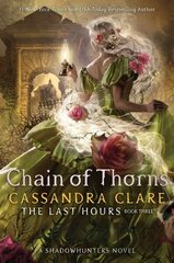 Chain of Thorns: Volume 3 цена и информация | Книги для подростков и молодежи | kaup24.ee