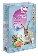 LoLo Pets Puffingers täissööt jänestele 500g цена и информация | Корм для грызунов | kaup24.ee