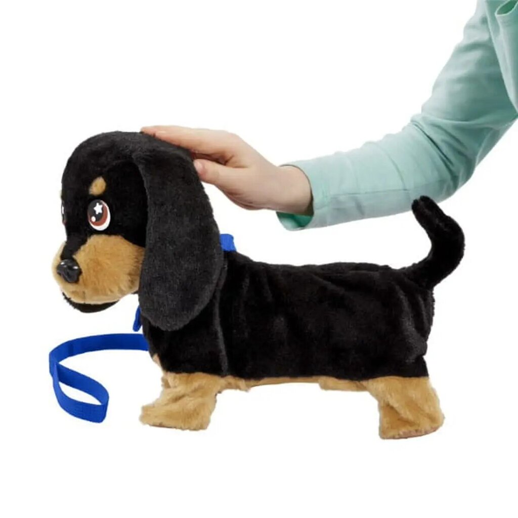 Animagic interaktiivne maskott koer Waggles Box hind ja info | Tüdrukute mänguasjad | kaup24.ee