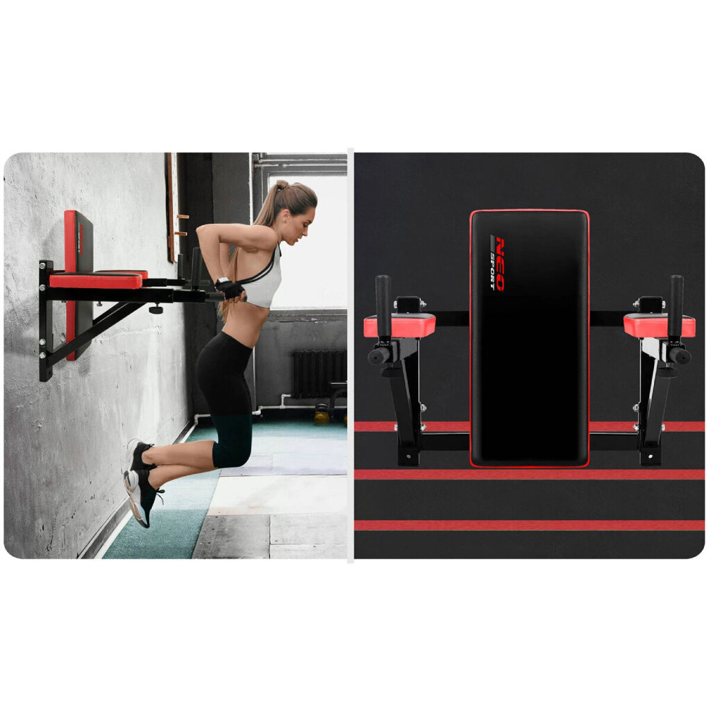 Treeningpink Dip Station Neo-Sport NS-320 (132000) цена и информация | Treeningpingid | kaup24.ee