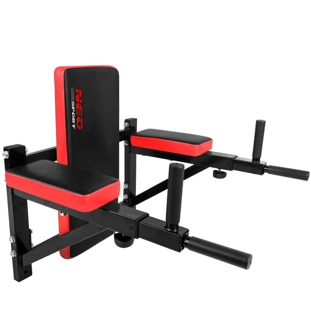 Treeningpink Dip Station Neo-Sport NS-320 (132000) цена и информация | Treeningpingid | kaup24.ee