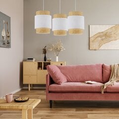Подвешиваемый светильник Micadoni Home Castor цена и информация | Потолочный светильник, 38 x 38 x 24 см | kaup24.ee