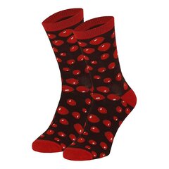 Sokid purgis Apollo soda Socks, 6 tk цена и информация | Оригинальные носки | kaup24.ee