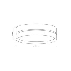 Micadoni Home laevalgusti Castor hind ja info | Laelambid | kaup24.ee