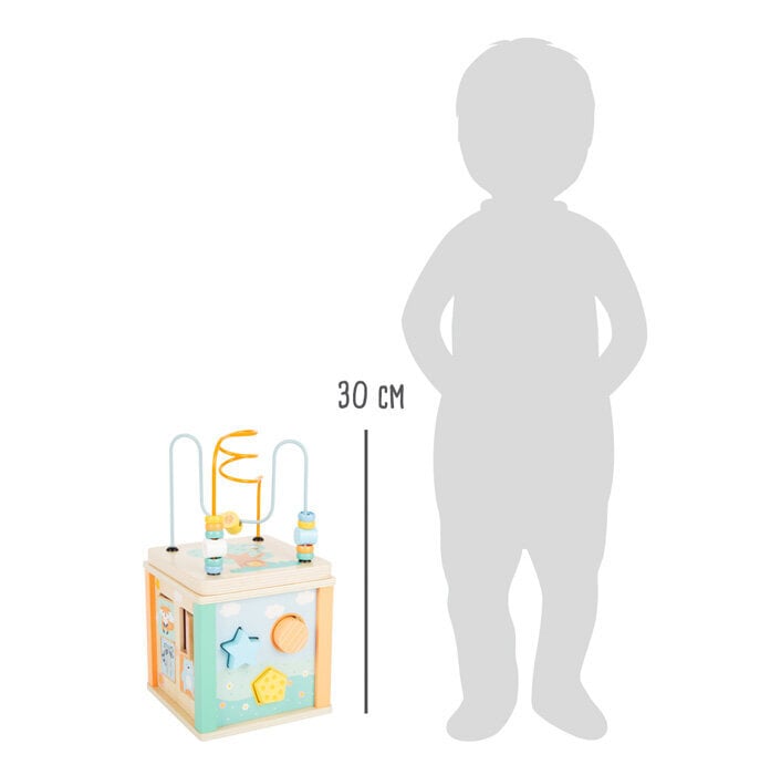 Väike jalgade hariduslik kuubik 5in1 hind ja info | Imikute mänguasjad | kaup24.ee