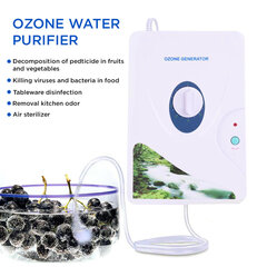 Озонатор, очиститель воздуха и воды, генератор озона цена и информация | Очистители воздуха | kaup24.ee