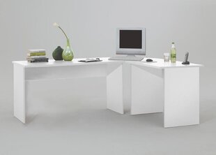 Письменный стол Till, белый цена и информация | Компьютерные, письменные столы | kaup24.ee