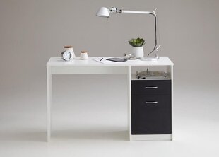Письменный стол Jackson, коричневый/белый цена и информация | Компьютерные, письменные столы | kaup24.ee