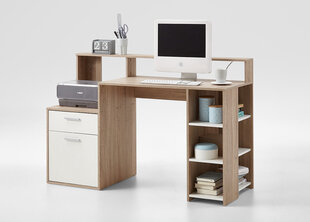 Письменный стол Bolton, коричневый/белый цена и информация | Компьютерные, письменные столы | kaup24.ee