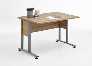Письменный стол Calvia 1, белый цена и информация | Компьютерные, письменные столы | kaup24.ee