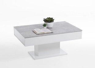 Кофейный столик Avola 2, белый/серый цена и информация | Журнальные столики | kaup24.ee