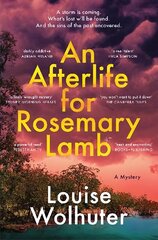 Afterlife for Rosemary Lamb цена и информация | Фантастика, фэнтези | kaup24.ee