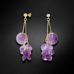 Naiste kõrvarõngad Diamond Sky „Orchid (Iris / Violet)“ koos Swarovski kristallidega DS02A587 hind ja info | Kõrvarõngad | kaup24.ee