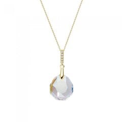 Kaelakee DiamondSky "Calathea (Crystal Shimmer)" Swarovski kristallidega DS01K575 hind ja info | Kaelakeed | kaup24.ee
