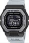 Casio G-Shock meeste käekell цена и информация | Meeste käekellad | kaup24.ee