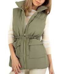 Naiste hooajaväline vest, White Icy, Khaki цена и информация | Женские жилеты | kaup24.ee