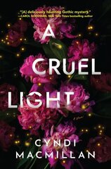 Cruel Light: A Novel цена и информация | Фантастика, фэнтези | kaup24.ee