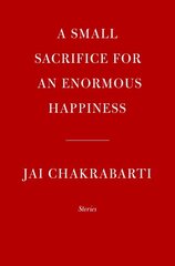 Small Sacrifice for an Enormous Happiness: Stories цена и информация | Фантастика, фэнтези | kaup24.ee