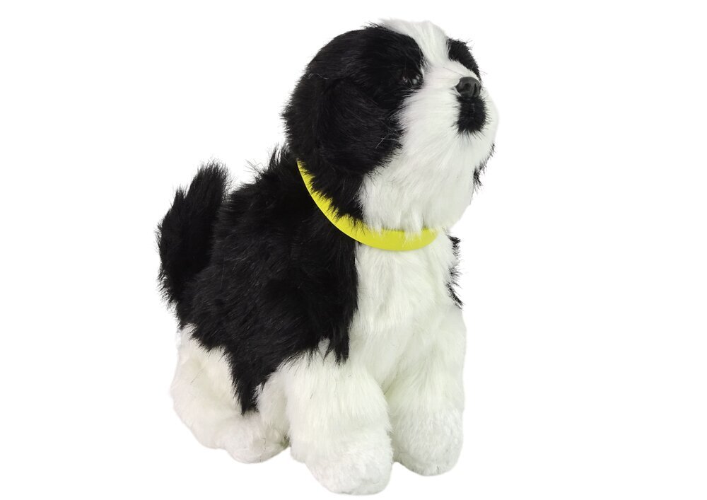 Interaktiivne pluusist koer ,,Border collie'', valge/must. hind ja info | Pehmed mänguasjad | kaup24.ee