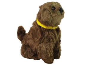 Интерактивная плюшевая собака, коричневая цена и информация | Мягкие игрушки | kaup24.ee