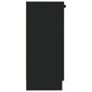 vidaXL puhvetkapp, must, 30 x 30 x 70 cm, tehispuit hind ja info | Elutoa väikesed kapid | kaup24.ee