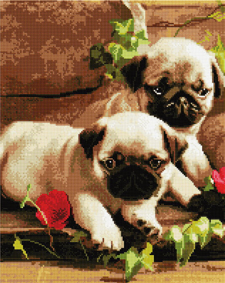 Teemantmosaiigi komplekt 40x50 cm, "Pugs and flowers" (ruudukujulised teemandid) цена и информация | Teemantmaalid, teemanttikandid | kaup24.ee