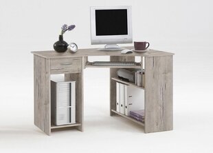 Компьютерный стол Felix 1, серый цена и информация | Компьютерные, письменные столы | kaup24.ee