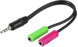 Vivanco кабель 3.5мм - 2x3.5мм 0.1м (45499) цена и информация | Адаптеры и USB-hub | kaup24.ee