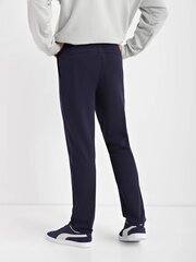 Спортивные мужские штаны цена и информация | Мужские брюки | kaup24.ee