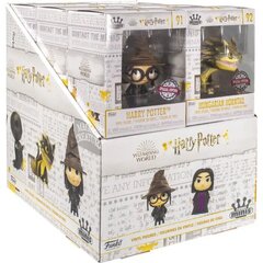 Erinevad mini vinüül Harry Potter Exclusive hind ja info | Poiste mänguasjad | kaup24.ee